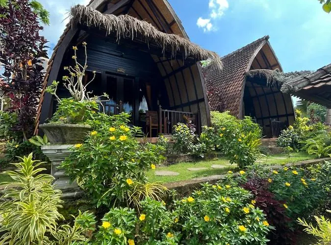 Holy Hills Nusa Penida 2*